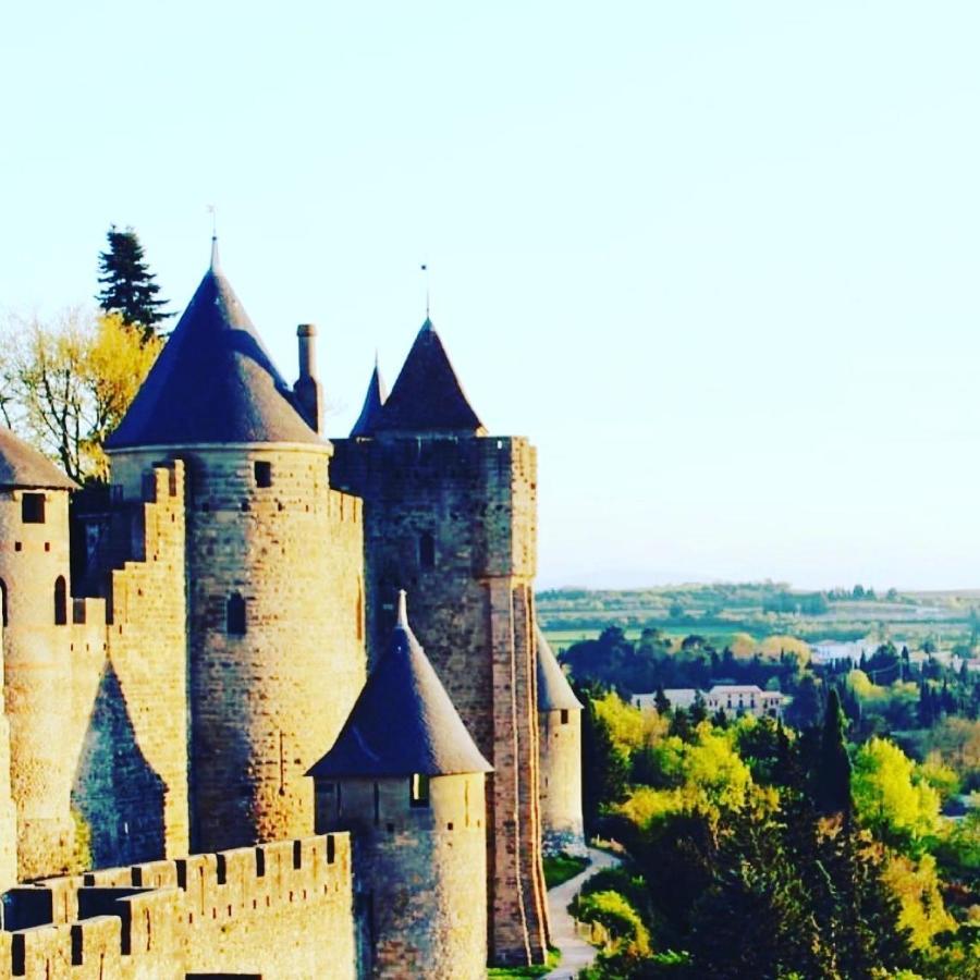 La Maison De L' Ambassadeur Carcassonne Exterior foto